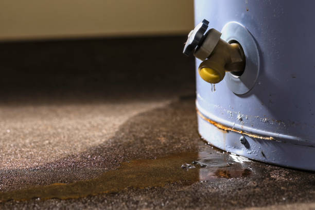 Trusted Worthington, KY Water damage restoration Experts