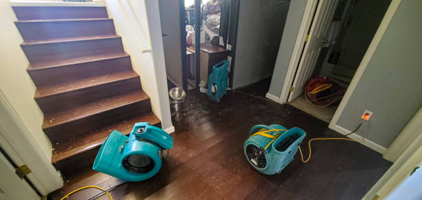 Best Fire Damage Restoration  in Worthington, KY