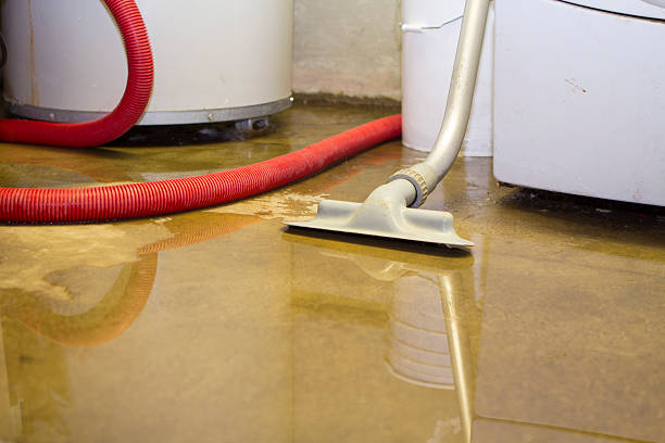Best Basement water damage restoration  in Worthington, KY