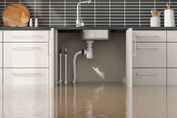 Best Mold removal after water damage  in Worthington, KY